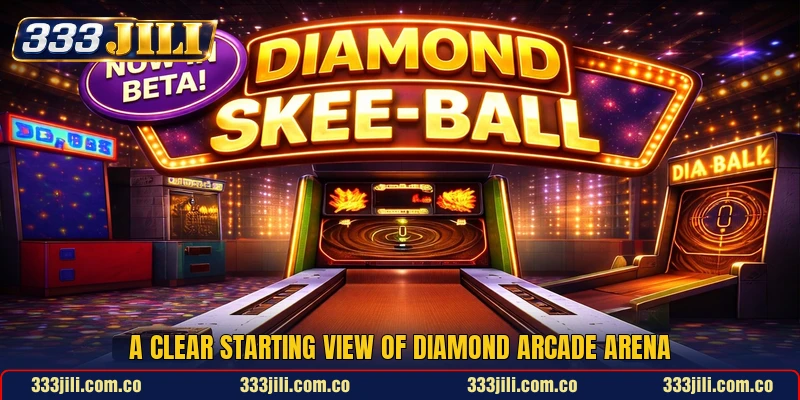 A clear starting view of Diamond Arcade Arena A clear starting view of Diamond Arcade Arena